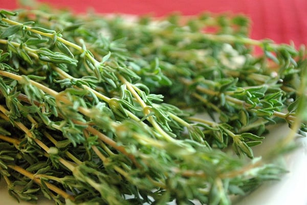 Image of Thyme - Thymus Vulgaris