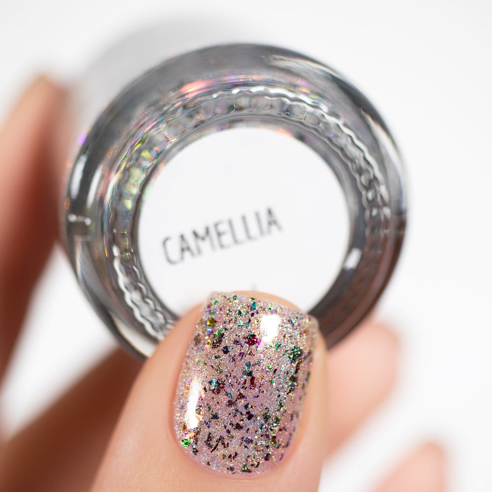 Camellia