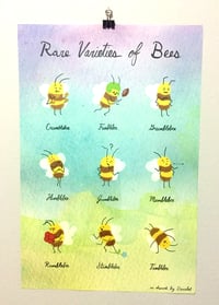 Image 1 of Rare Varieties of Bees Poster