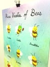 Rare Varieties of Bees Poster