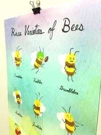 Image 2 of Rare Varieties of Bees Poster