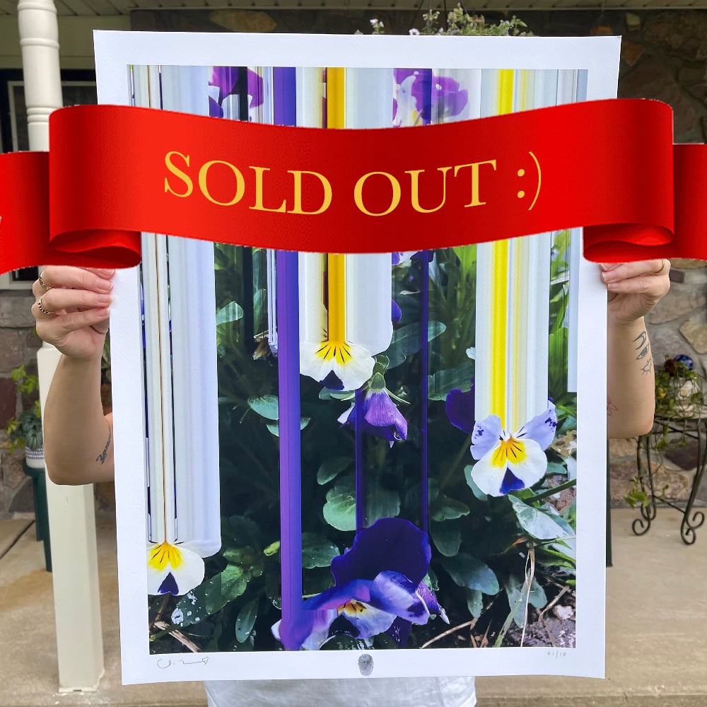 Image of Flowers Against Humanity 007 Limited Edition Giclée Fine Art Print