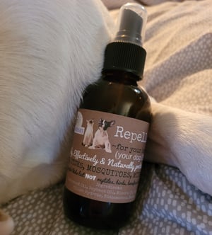 Image of Repellent~for your best friend!  (For fleas, ticks, mosquitoes, mites + ants!)