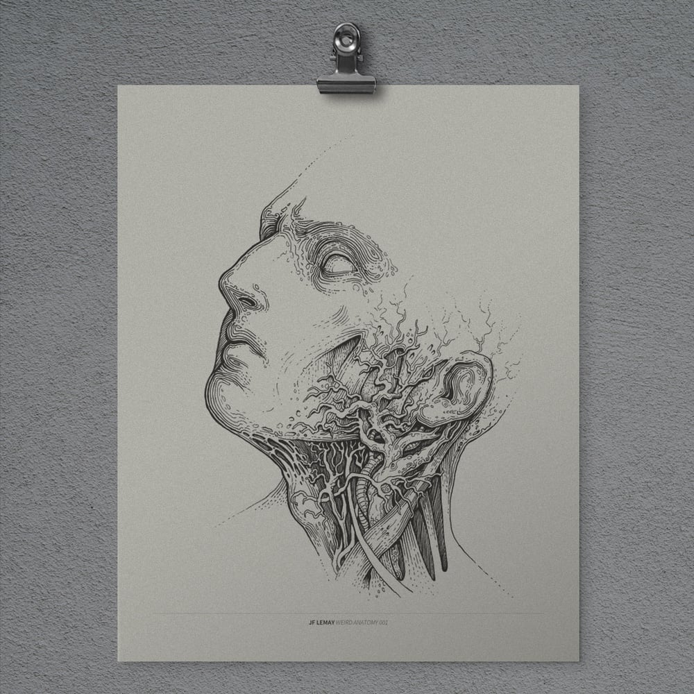 Image of Weird Anatomy 001 - Print