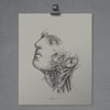 Weird Anatomy 001 - Print