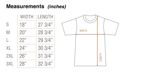 Image of Femdom Tshirt