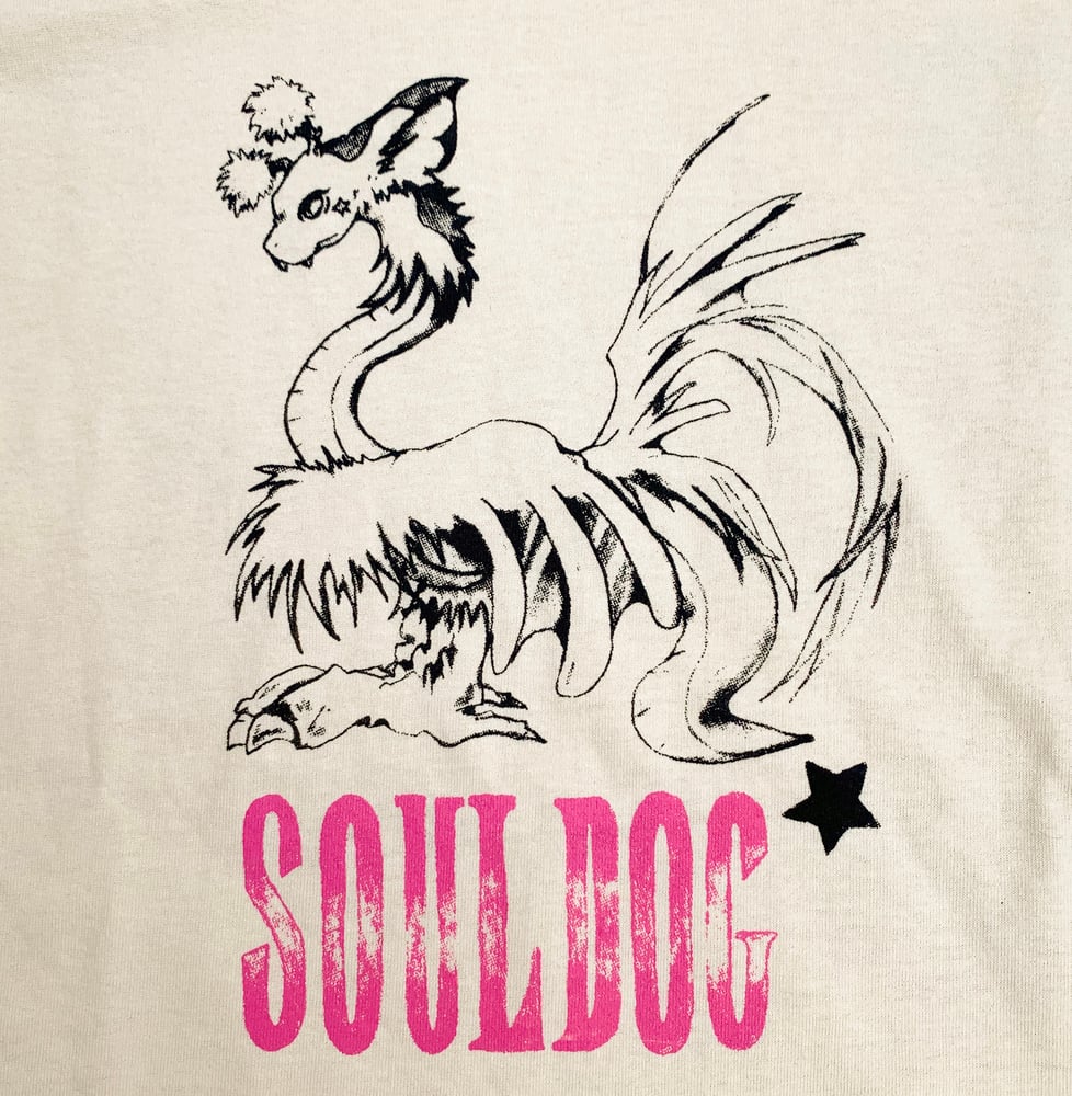 Image of Angel's Wish Tshirt
