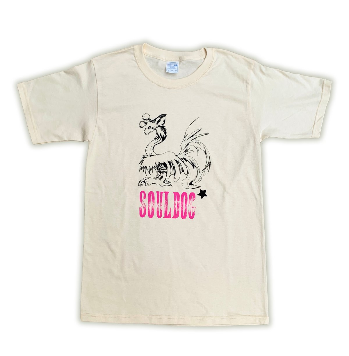 Image of Angel's Wish Tshirt