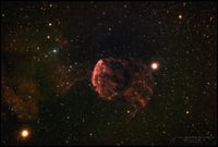 Jellyfish nebula/ IC 443