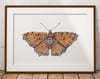 Aglais The Steampunk Butterfly