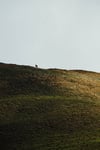 Par delà les nuages