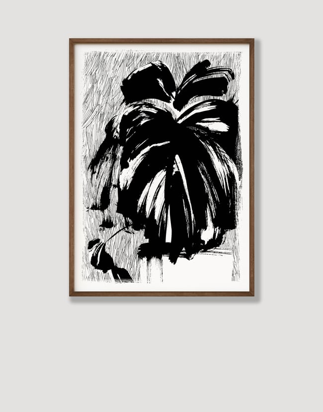  ‘Philodendron in Pot’