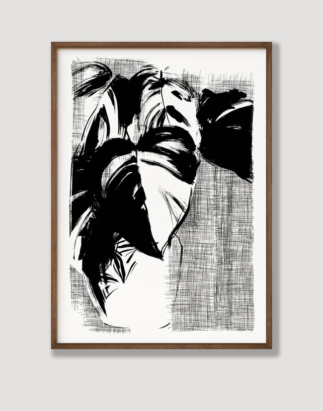 ‘Variegated Monstera Deliciosa’