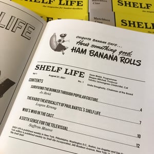 Image of Shelf Life | Zine