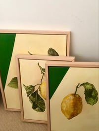 Image 3 of Triptych of Leafy Lemons