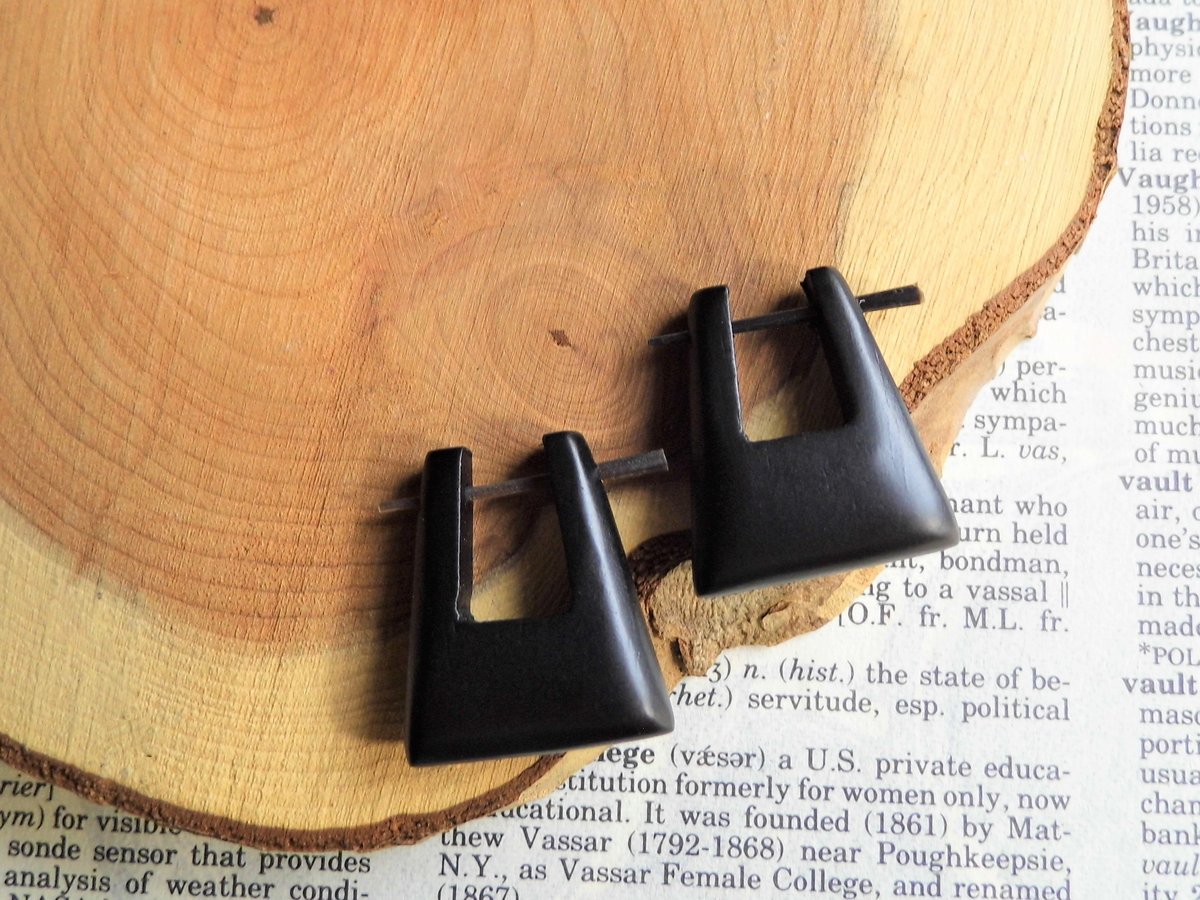 Small Black Wood Hoops Earrings Square