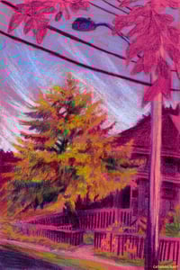 Sunset Glow 8.5x11 Print