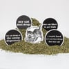 Catnip Sticker Pack