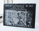 Image 1 of Limerick Back-To-Back Champions 2020/2021