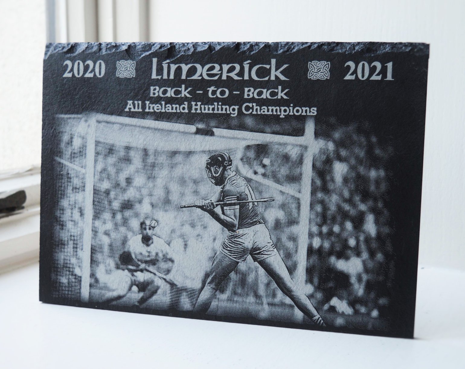 Image of Limerick Back-To-Back Champions 2020/2021