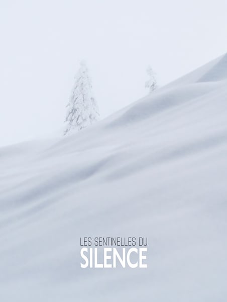 Image of Les Sentinelles du Silence