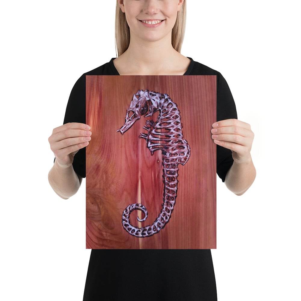 Photo Print: Seahorse Skeleton