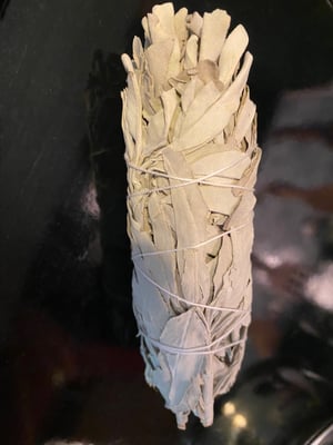 Image of 100% Organic "White" Sage