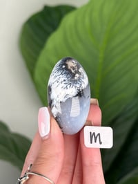 Image 13 of DENDRITIC OPAL SHIVAS
