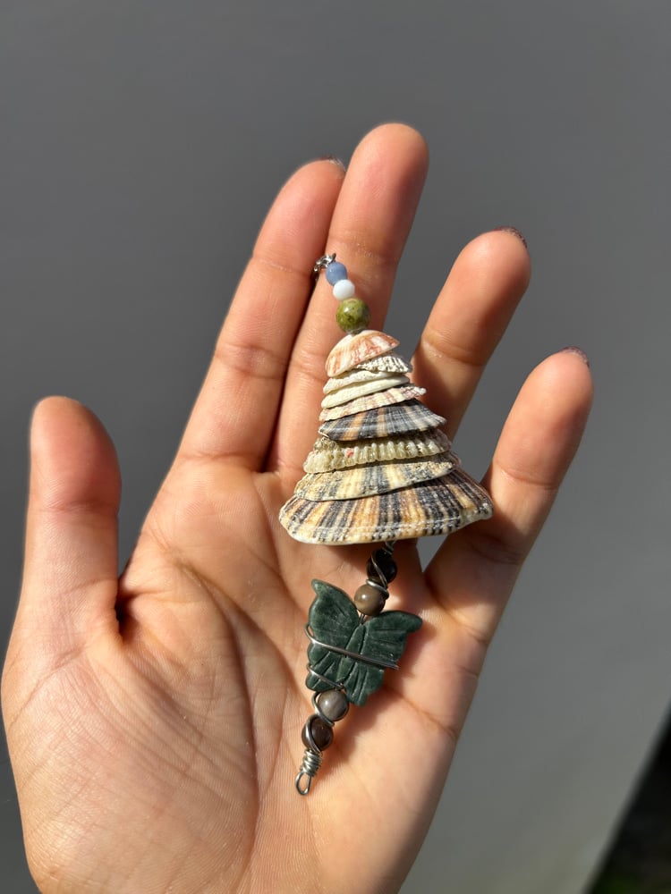 Image of ✧Keyhole Limpet Charm