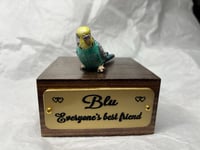 Image 11 of Custom Engraved Budgie Parakeet Handpainted To Your Photos Bird Mini Keepsake Urn Pet Portrait