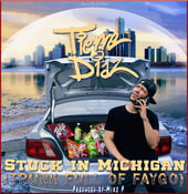 Image of "Stuck in Michigan " CD Single