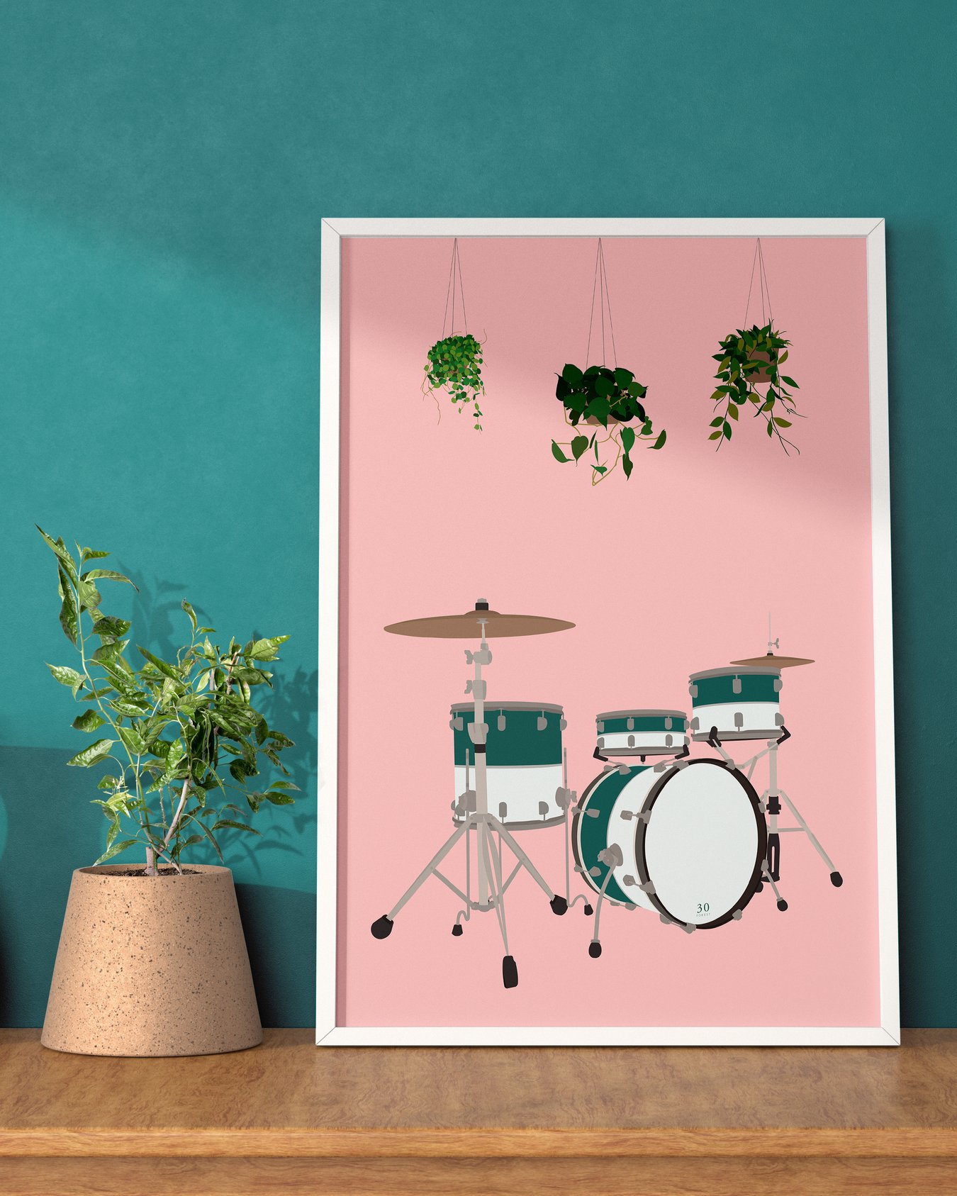 Image of Drum Kit Houseplant Print
