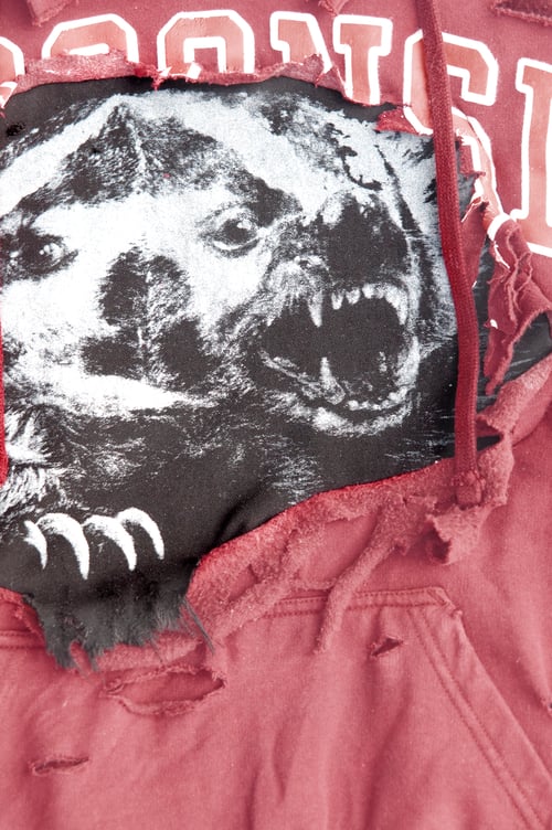 Image of "IN A BADGER  STATE" Hoodie (1/1)