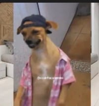 Cămașă cool