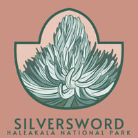 Image 2 of Silversword