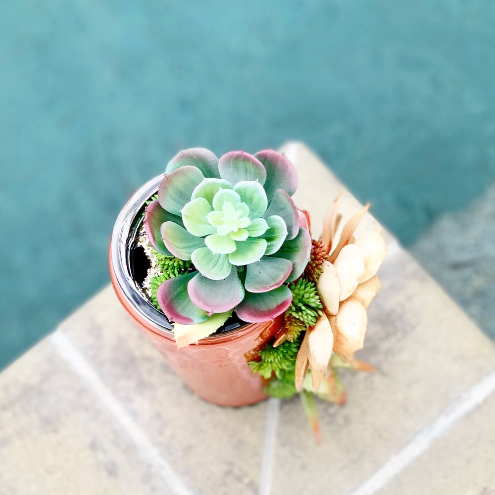 Image of Succulent tumbler 