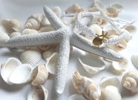 Image 2 of Beach Cord Bracelet, Starfish Bracelet,Beach Wish Bracelet,Beach Friendship Bracelet,Shell Bracelet