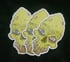 Toothy zombie sticker Image 2