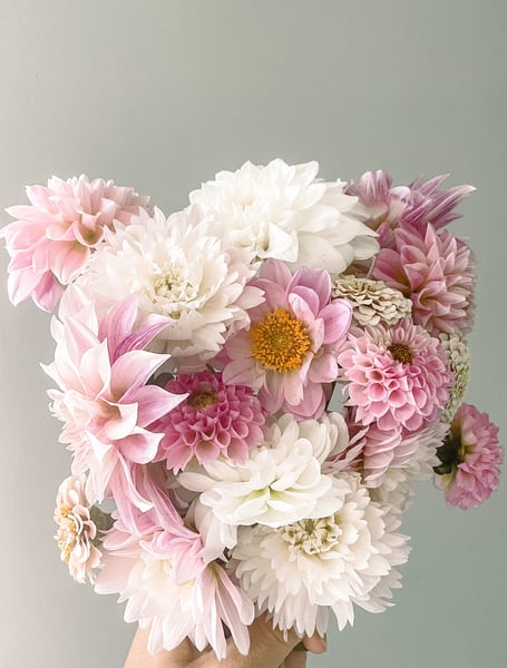 Image of Dahlia Bouquets-Oct 15th up