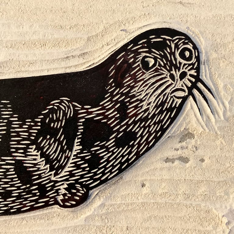 Banana Seal Image 5