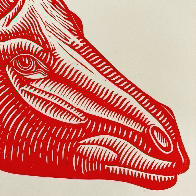 High Horse Image 3