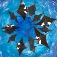 Image 1 of Manta rays in the blue.