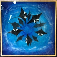 Image 2 of Manta rays in the blue.