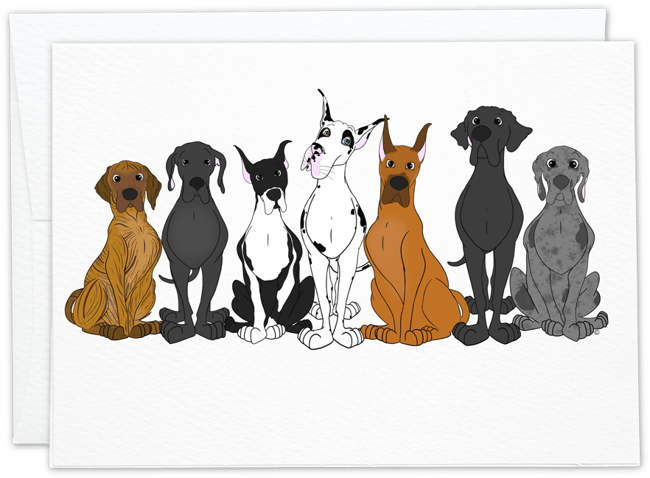 Great Danes in Every Color Greeting Card 