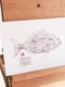 Image of BESUGO | Axillary Seabream