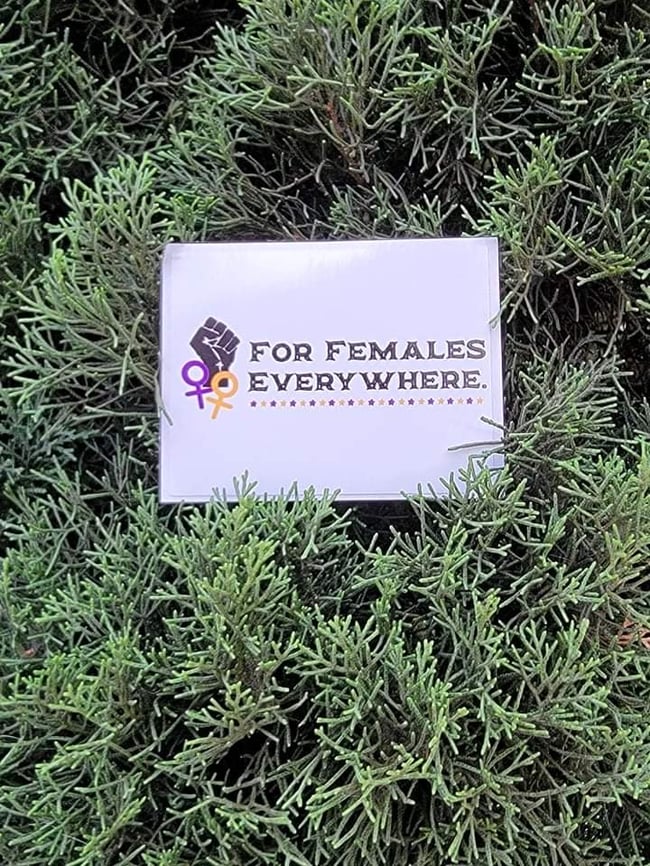 For Females Everywhere Sticker