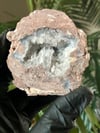 FACE POLISHED COCONUT GEODE - MEXICO 