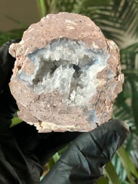 Image 1 of FACE POLISHED COCONUT GEODE - MEXICO 