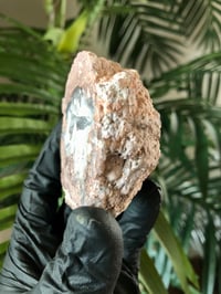 Image 4 of FACE POLISHED COCONUT GEODE - MEXICO 