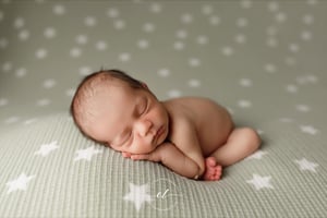 Image of Twinkle Plush / Sage